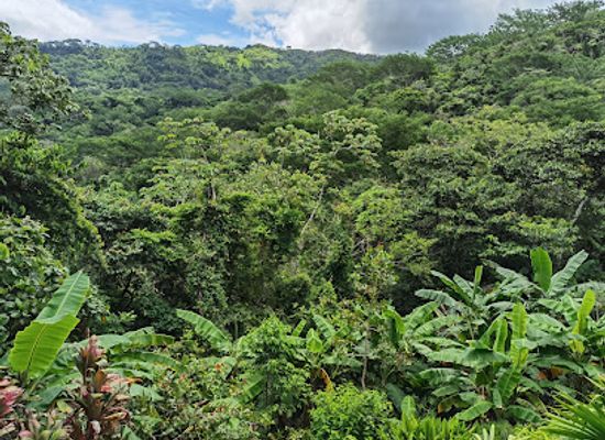 costa-rica/nicoya-peninsula/landmark/reserva-natural-monte-alto