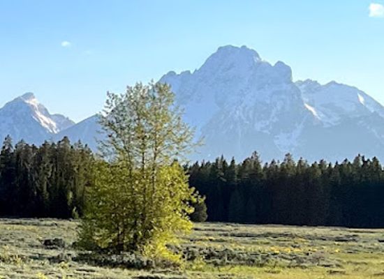wyoming/bridger-teton-national-forest/landmark/teton-national-forest