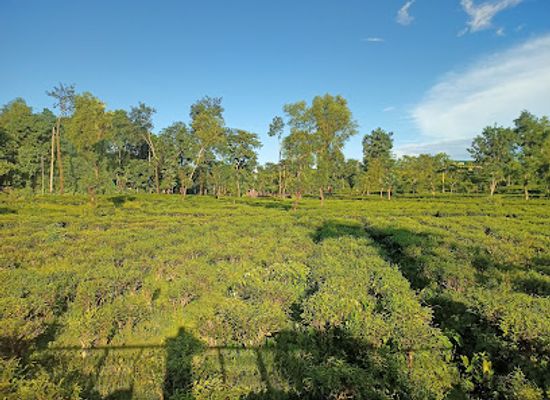bangladesh/sylhet/landmark/goabadi-wakowe