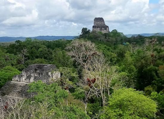 mexico/lacandon-jungle/landmark/reserva-de-biosfera-maya