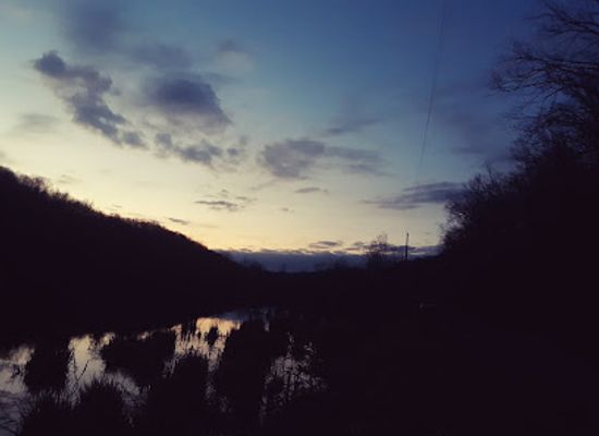 ohio/wayne-national-forest/landmark/big-bailey-wetland-wayne-national-forest