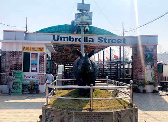 nepal/narayani-zone/landmark/umbrella-street-patihani