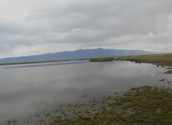 mongolia/altai-mountains/landmark/khar-us-nuur-bird-watch-tower