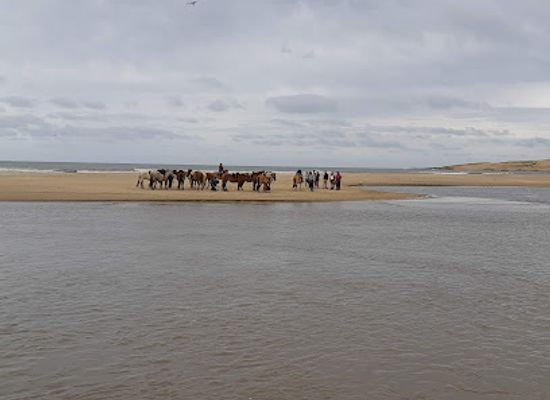 uruguay/rocha/landmark/cabalgatas-valiceras