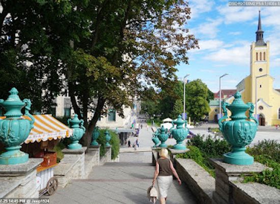estonia/tallinn-old-town/landmark/carved-stone-museum
