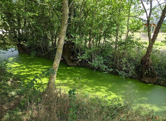 france/marais-poitevin/landmark/house-master-of-dykes