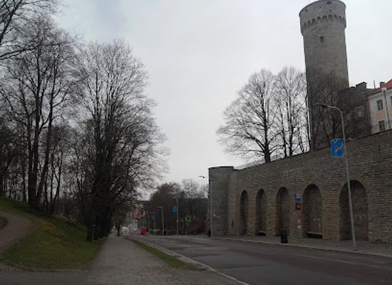 estonia/tallinn-old-town/landmark/monument-to-estonia-s-independence-from-the-soviet-union