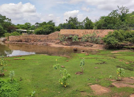 mali/mande/landmark/zoo-national-du-mali