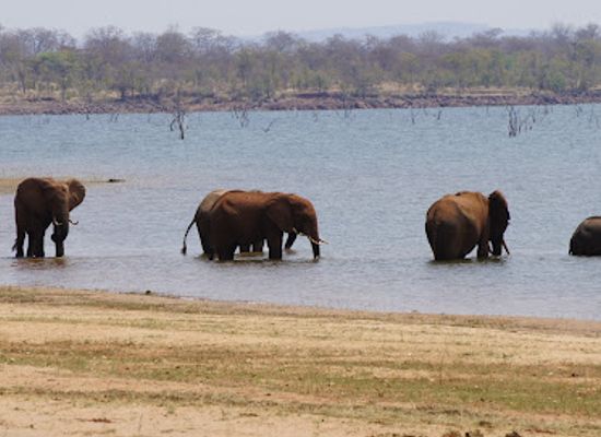 zambia/north-western-province/landmark/matusadona-national-park