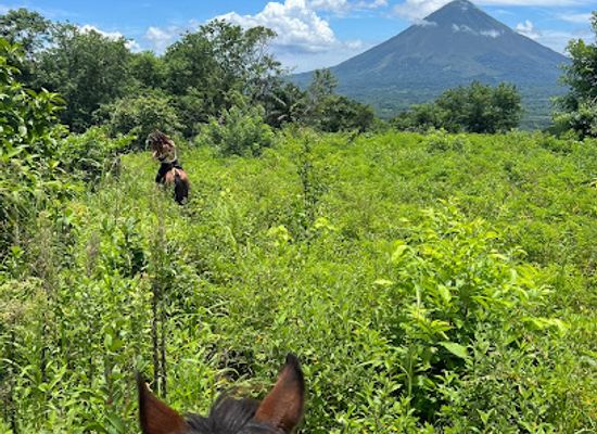 nicaragua/ometepe-island/landmark/hari-s-horses