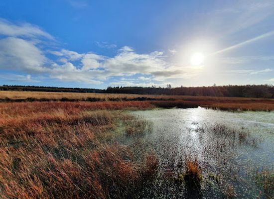 netherlands/drenthe/landmark/hart-van-drenthe