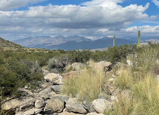 arizona/saguaro-national-park/landmark/douglas-spring-trailhead