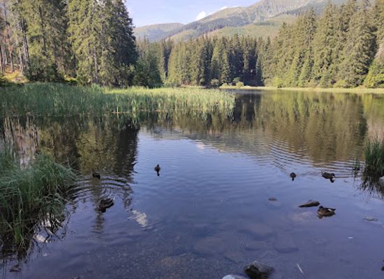 slovakia/high-tatras-national-park/landmark/low-tatras-national-park
