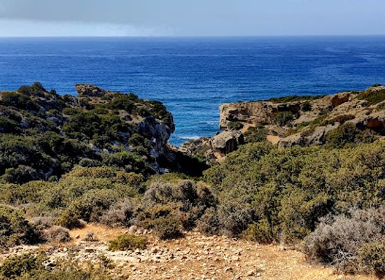 cyprus/akamas-peninsula-national-park/landmark/akamas-national-forest-park