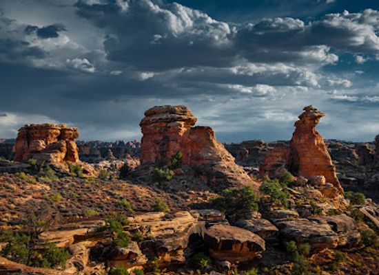 utah/canyonlands/landmark/needles-district-canyonlands