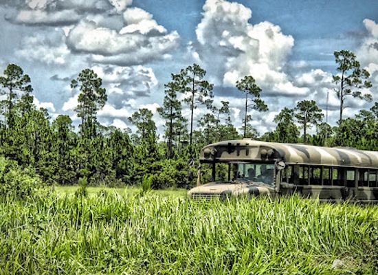 florida/sun-coast/landmark/babcock-ranch-eco-tours