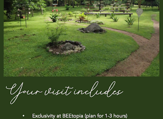 tanzania/western-zone/landmark/beetopia