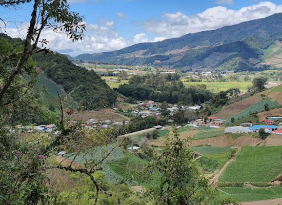 panama/volcan/landmark/finca-dracula