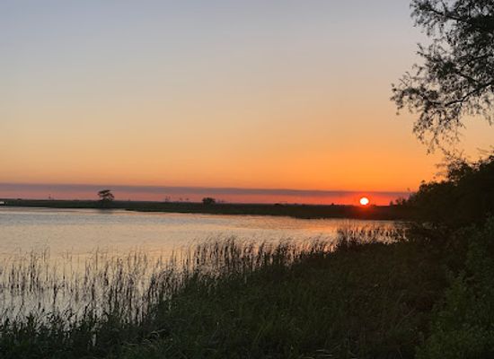 alabama/alabama-coastal-birding-trail/landmark/meaher-state-park