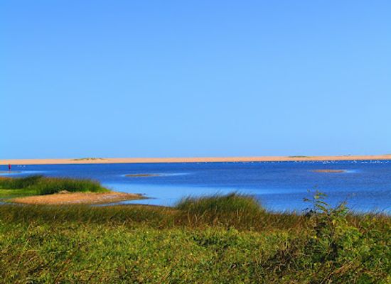 uruguay/rocha-coast/landmark/laguna-de-rocha