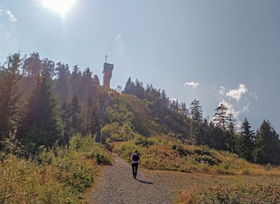 germany/harz/landmark/aussichtsturm-wurmberg