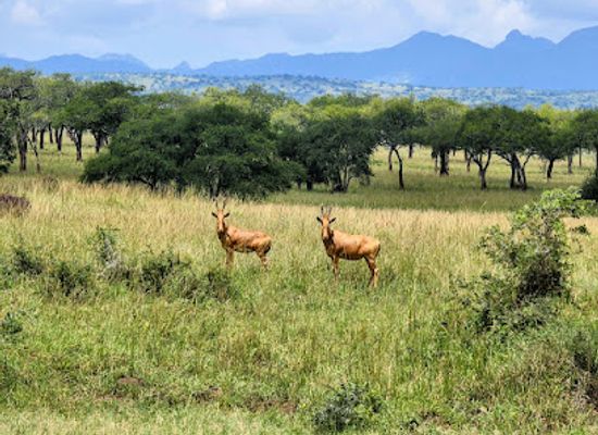 uganda/central-region/landmark/kidepo-national-park-uganda