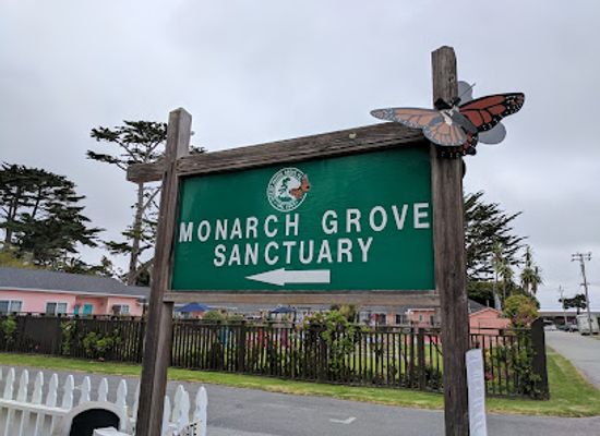 california/monterey/landmark/monarch-butterfly-sanctuary