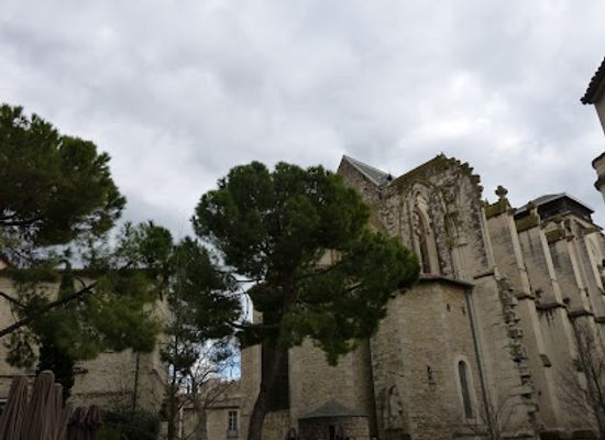 france/languedoc/landmark/eglise-saint-roch-de-montpellier