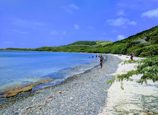 puerto-rico/culebra-island/landmark/playa-el-tamarindo