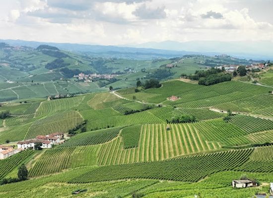 italy/langhe/landmark/belvedere-di-la-morra