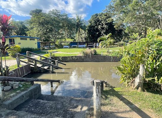 fiji/ba/landmark/sabeto-hot-spring-mud-pool-and-tours
