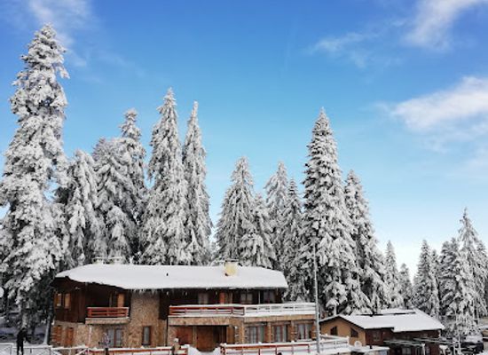 bulgaria/borovets/landmark/silver-fox