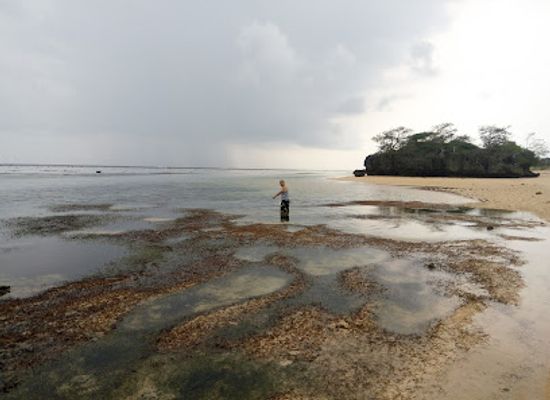 fiji/sigatoka/landmark/coral-coast-adventures-fiji-limited