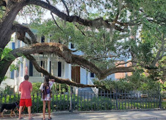 south-carolina/beaufort/landmark/cuthbert-scheper-house
