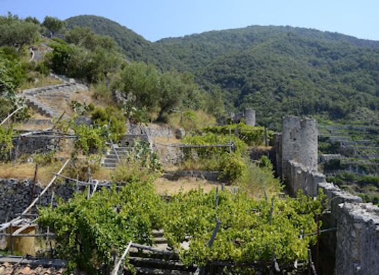 italy/campania/landmark/castello-di-san-nicola-de-thoro-plano