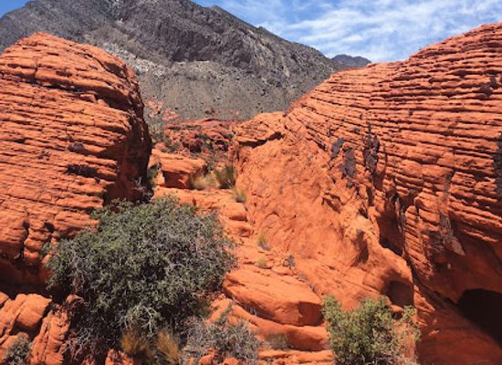 nevada/red-rock-canyon-national-conservation-area/landmark/little-red-rock