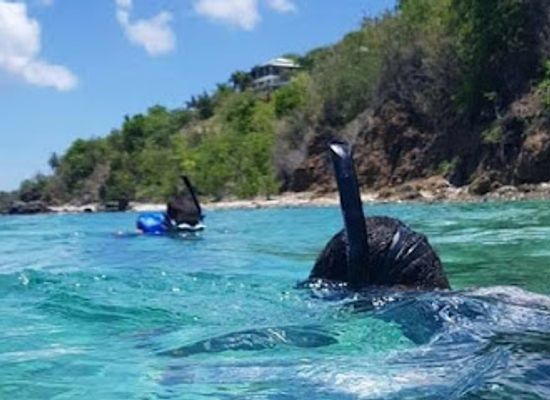 puerto-rico/culebra/landmark/culebra-snorkel-with-locals