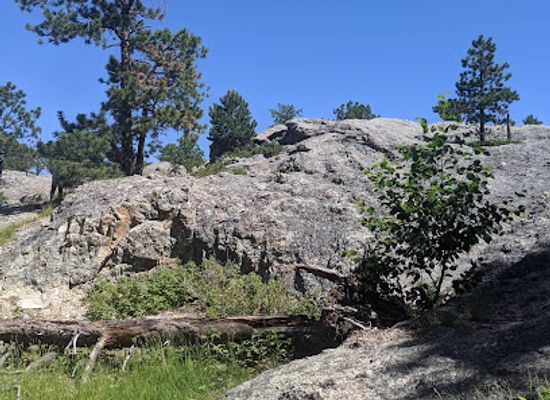 south-dakota/black-hills-national-forest/landmark/iron-mountain-picnic-area