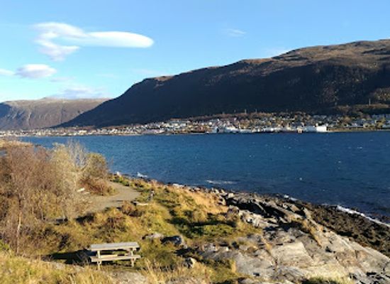 norway/tromso/sentrum/landmark/the-arctic-university-museum-of-norway