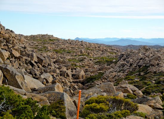 australia/mount-field-national-park/landmark/rodway-range