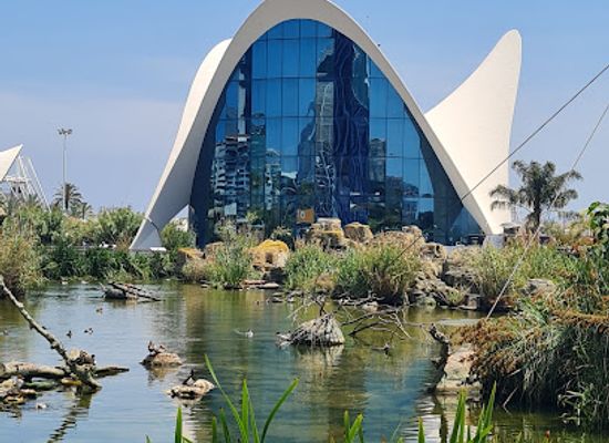 spain/valencian-community/landmark/oceanografic