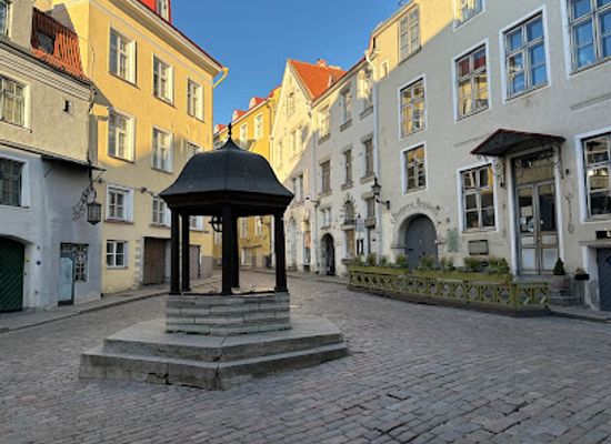 estonia/harju-county/landmark/cat-s-well