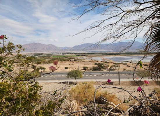 israel/eilat/landmark/the-botanical-garden