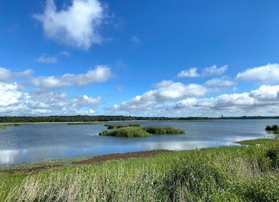finland/espoo/landmark/laajalahti-nature-preserve