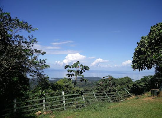 suriname/moengo/landmark/brownsberg