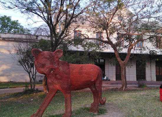 argentina/gran-chaco/landmark/museum-of-natural-sciences-augusto-schulz