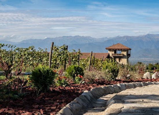 georgia/telavi/landmark/mosmieri-kakheti-wine-centre