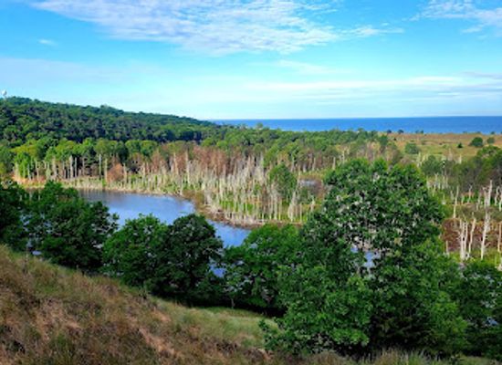 michigan/saugatuck/landmark/tallmadge-woods-nature-preserve