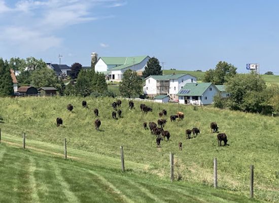 ohio/amish-country/landmark/amish-heartland-group-tours-llc