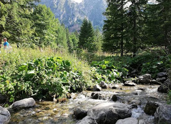 poland/tatra-mountains/landmark/skala-im-edwarda-jelinka